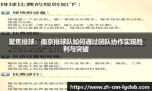 聚焦排球：南京排球队如何通过团队协作实现胜利与突破