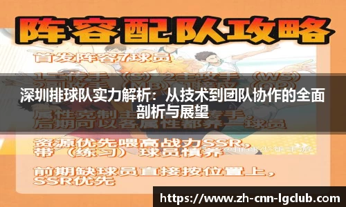 深圳排球队实力解析：从技术到团队协作的全面剖析与展望